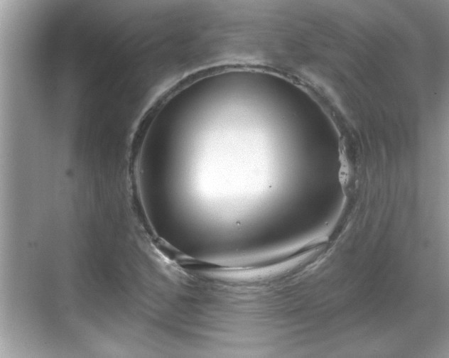 X0000069361168200605150909