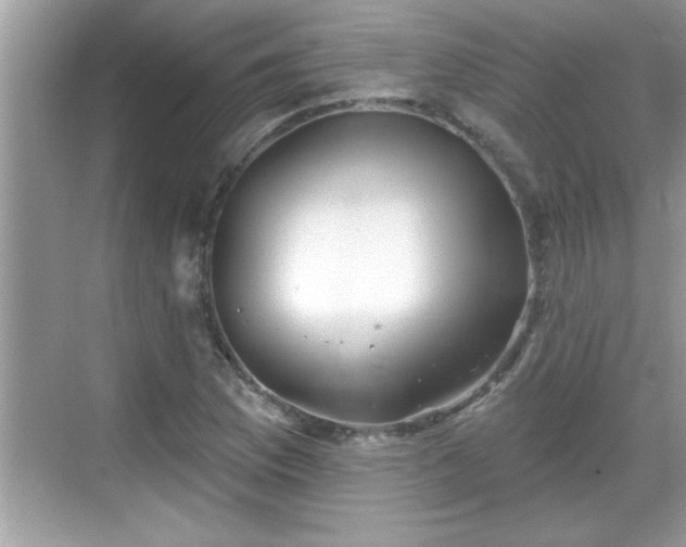 X0000069361169200605150909