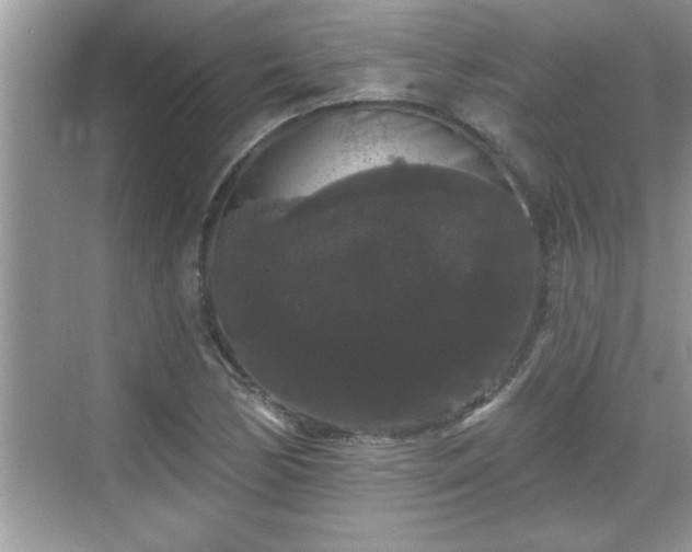 X0000069361170200605150909