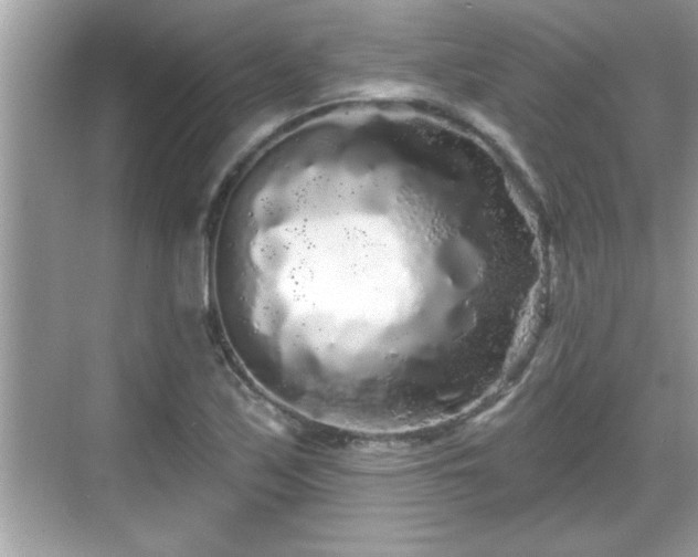 X0000069361171200605150909