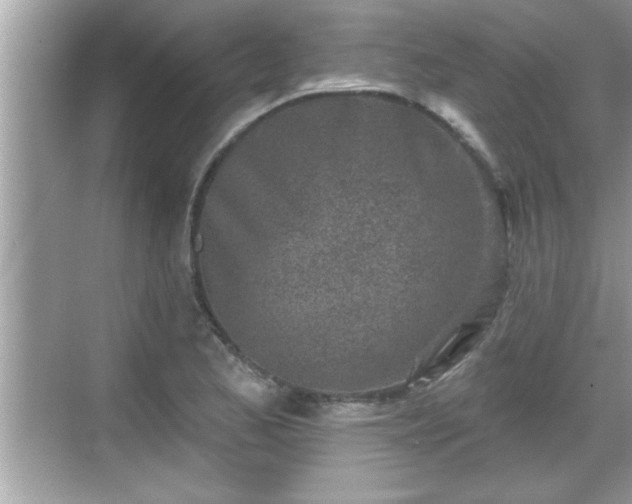 X0000069361173200605150909