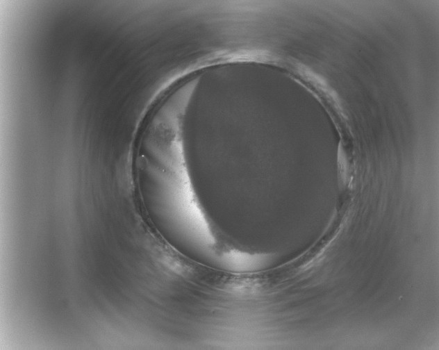 X0000069361174200605150909