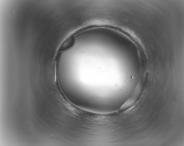 X0000069361175200605150909