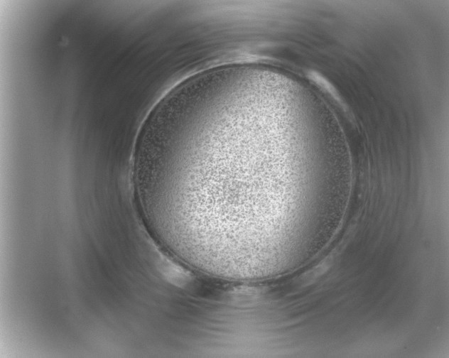 X0000069361178200605150909