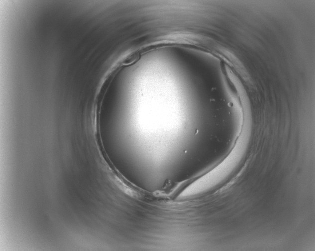 X0000069361180200605150909