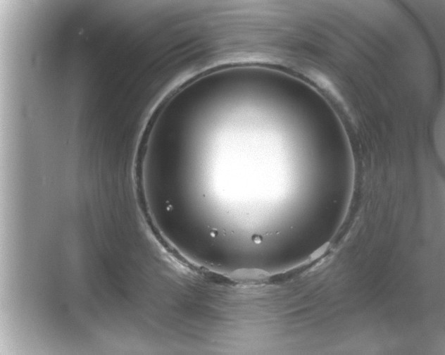 X0000069361181200605150908