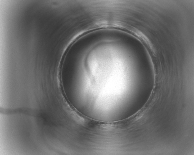 X0000069361182200605150908