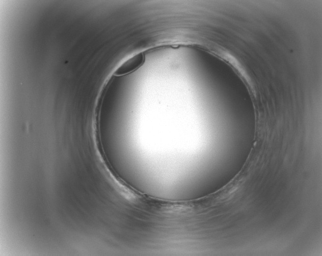 X0000069361187200605150908