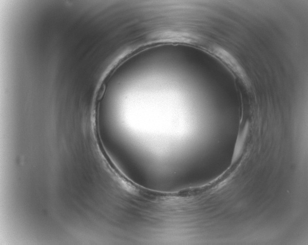 X0000069361188200605150908