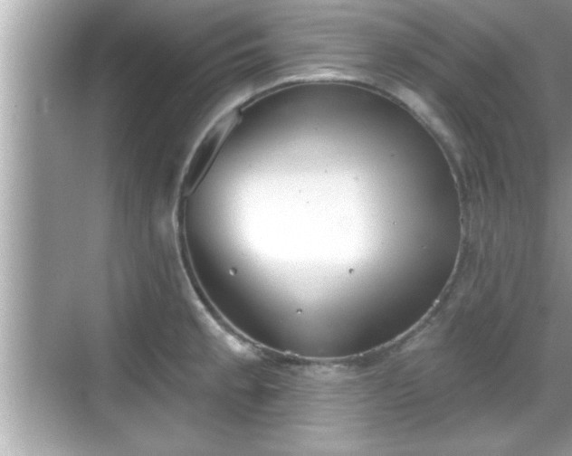 X0000069361189200605150908