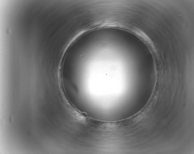 X0000069361190200605150908