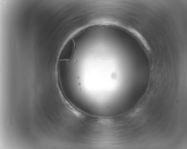 X0000069361191200605150908