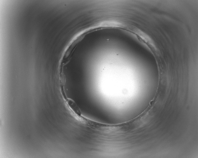 X0000069361192200605150908