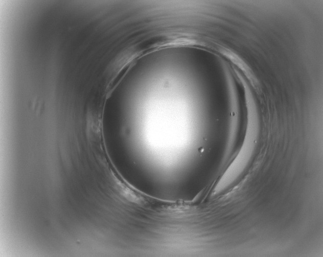 X0000069361193200605150908