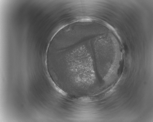 X0000069361194200605150908