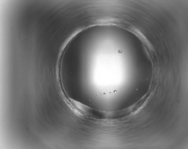 X0000069361196200605150908