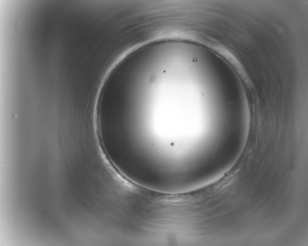 X0000069361199200605150908