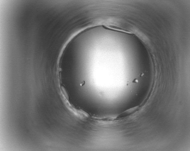 X0000069361200200605150908