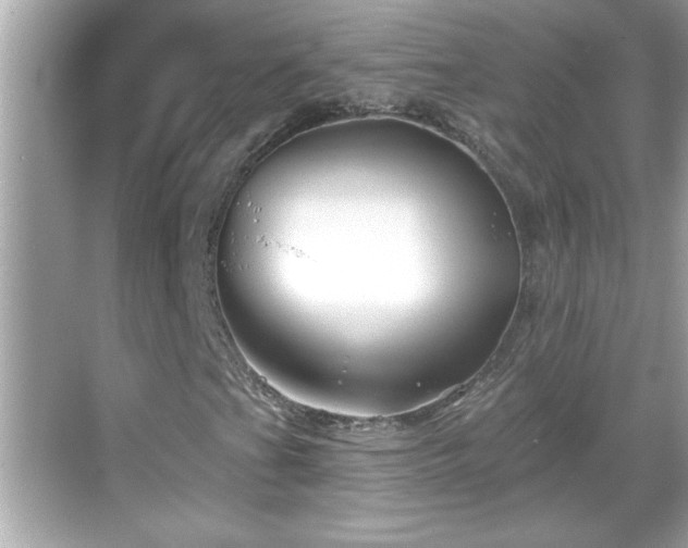 X0000069361201200605150907