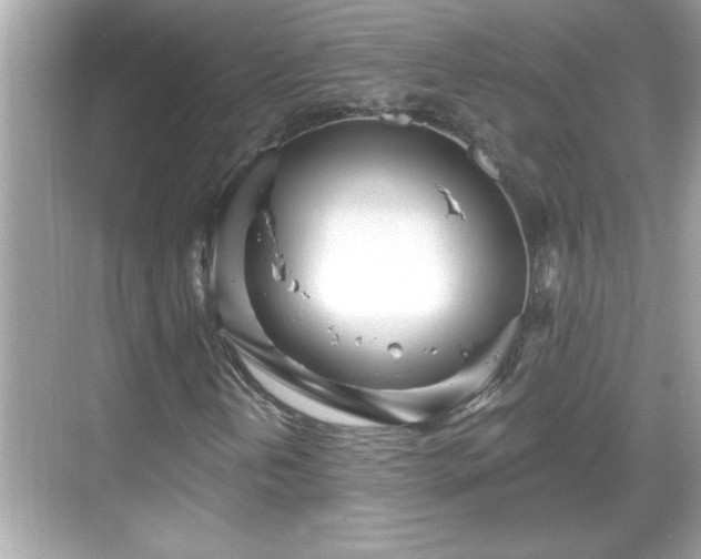 X0000069361202200605150907