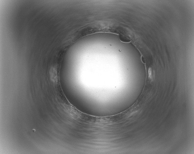 X0000069361203200605150907