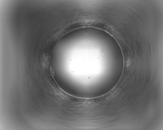 X0000069361204200605150907