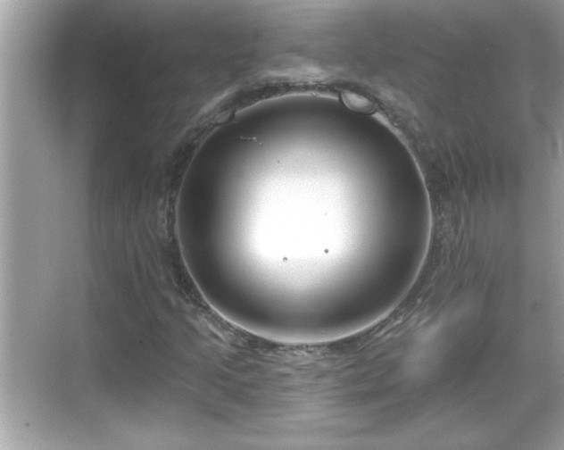 X0000069361205200605150907