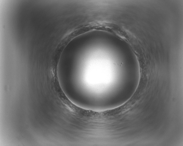 X0000069361206200605150907