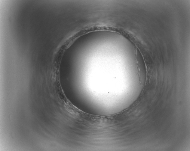 X0000069361207200605150907