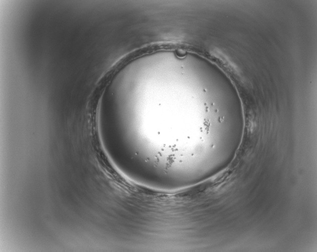 X0000069361208200605150907