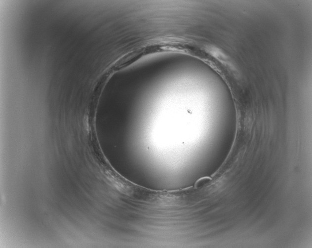 X0000069361209200605150907