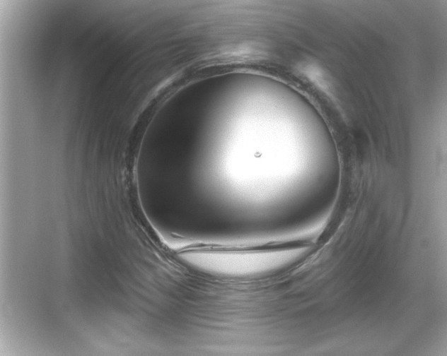 X0000069361210200605150908