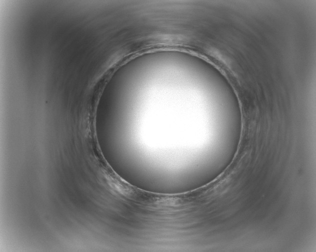 X0000069361211200605150908