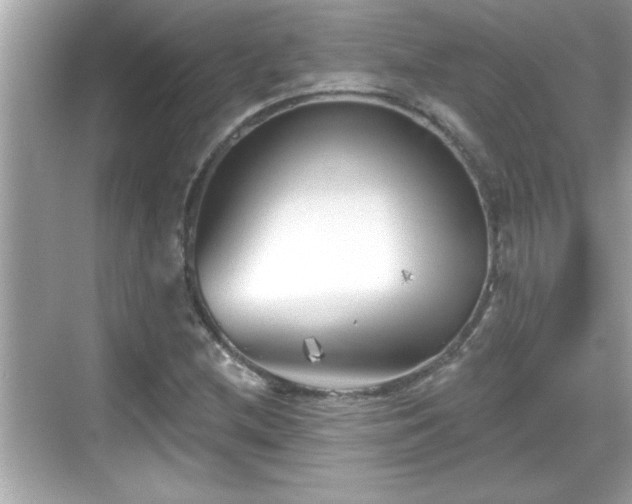 X0000069361212200605150908