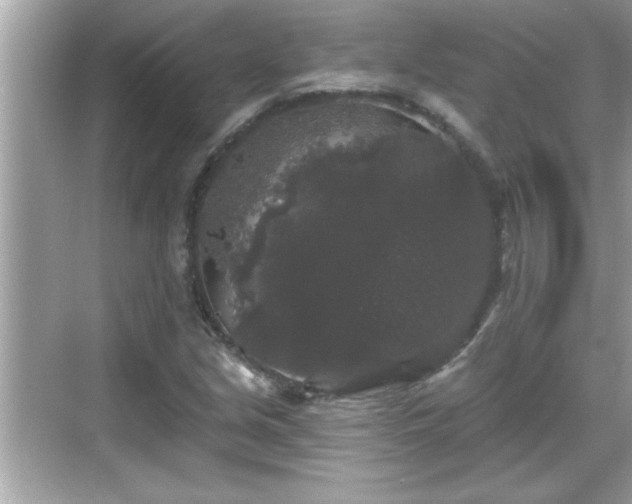 X0000069361213200605150908