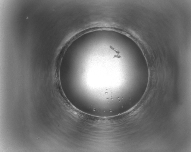 X0000069361215200605150908