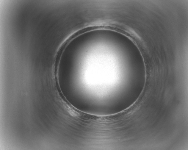 X0000069361216200605150908