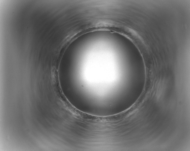 X0000069361217200605150908