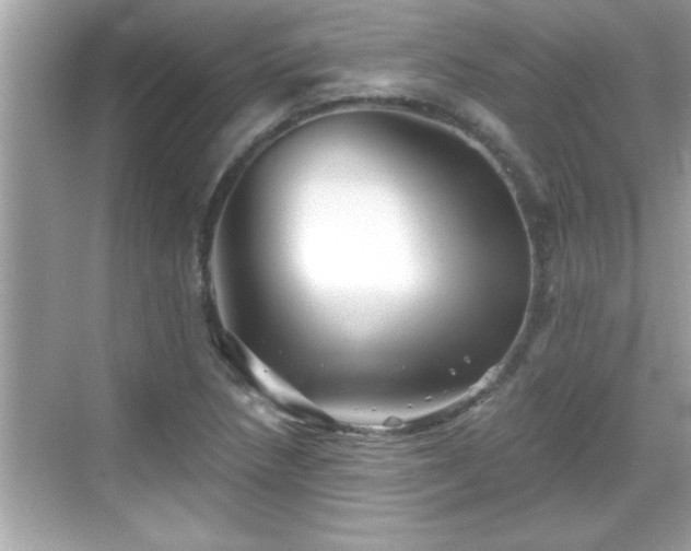 X0000069361218200605150908