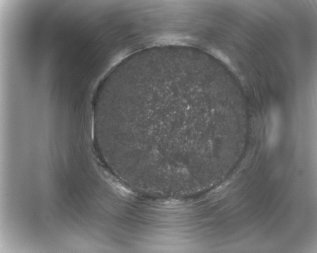 X0000069361219200605150908