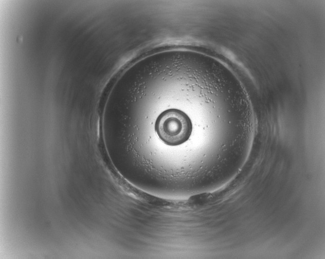 X0000069361221200605150908