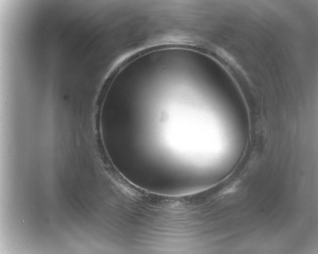 X0000069361222200605150908