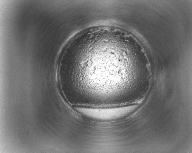 X0000069361224200605150908