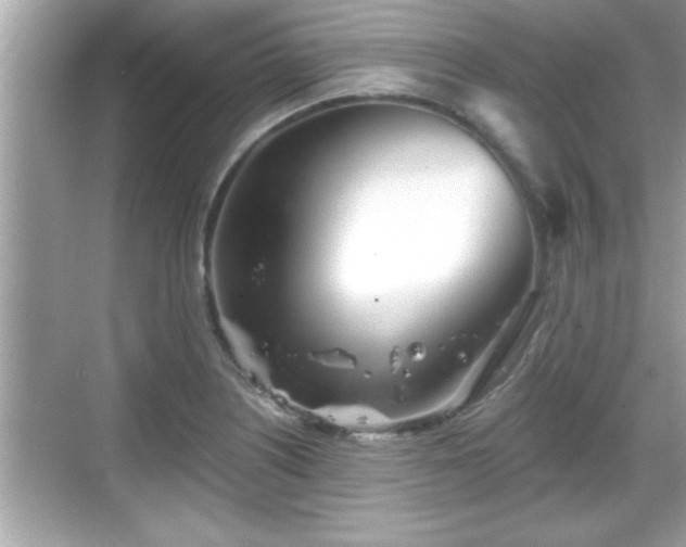 X0000069361226200605150908