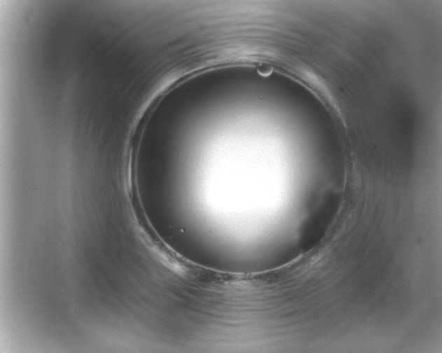 X0000069361227200605150908