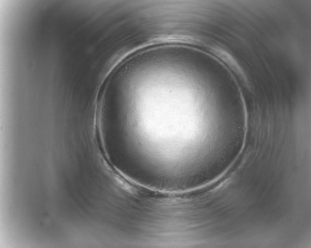 X0000069361228200605150908