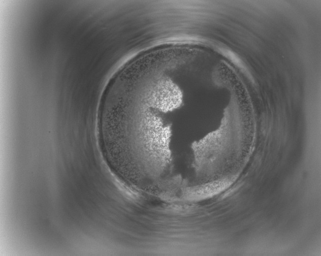 X0000069361229200605150908