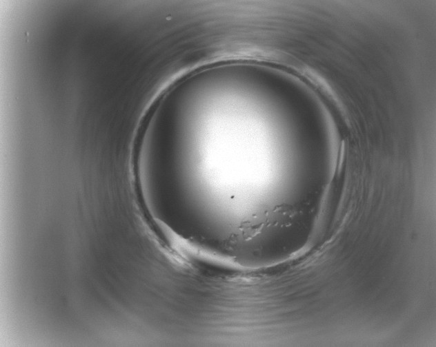 X0000069361230200605150908