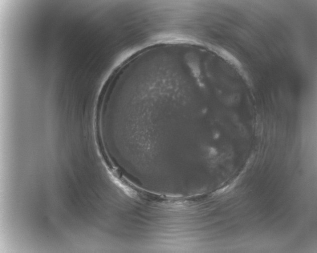 X0000069361231200605150908