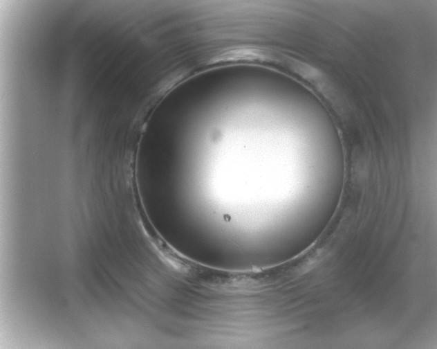 X0000069361233200605150908